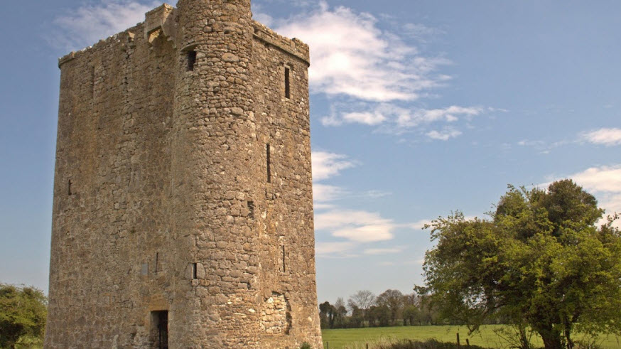 Donore Castle Ruins, Ireland